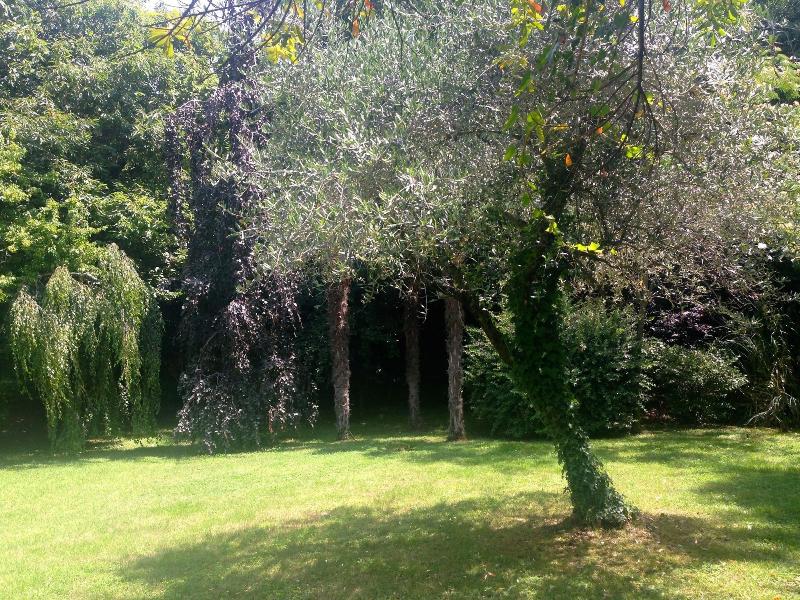 Villa Abbamer - Genel