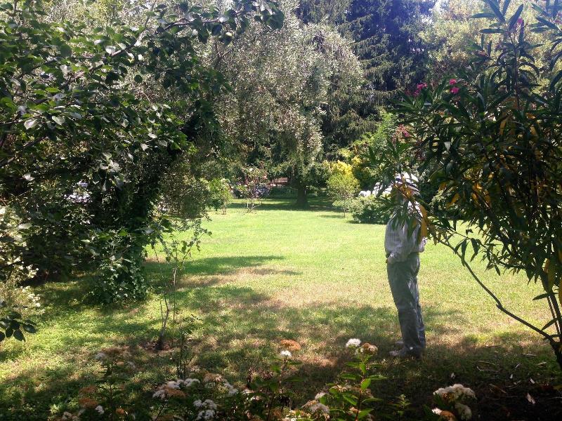 Villa Abbamer - Genel