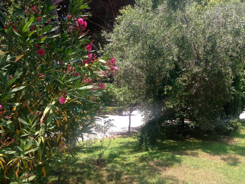 Villa Abbamer - Genel