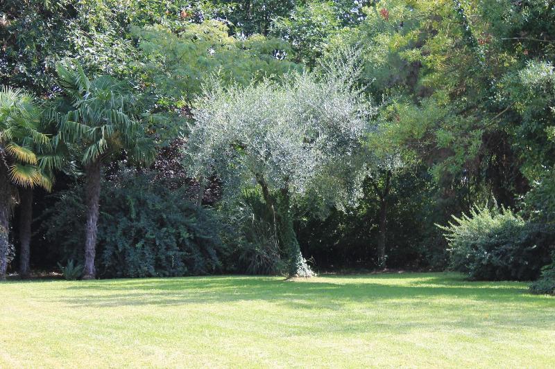 Villa Abbamer - Genel