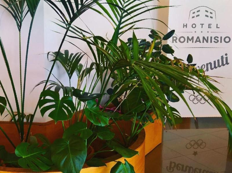 Hotel Romanisio - Lobi