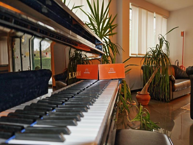 Hotel Romanisio - Lobi