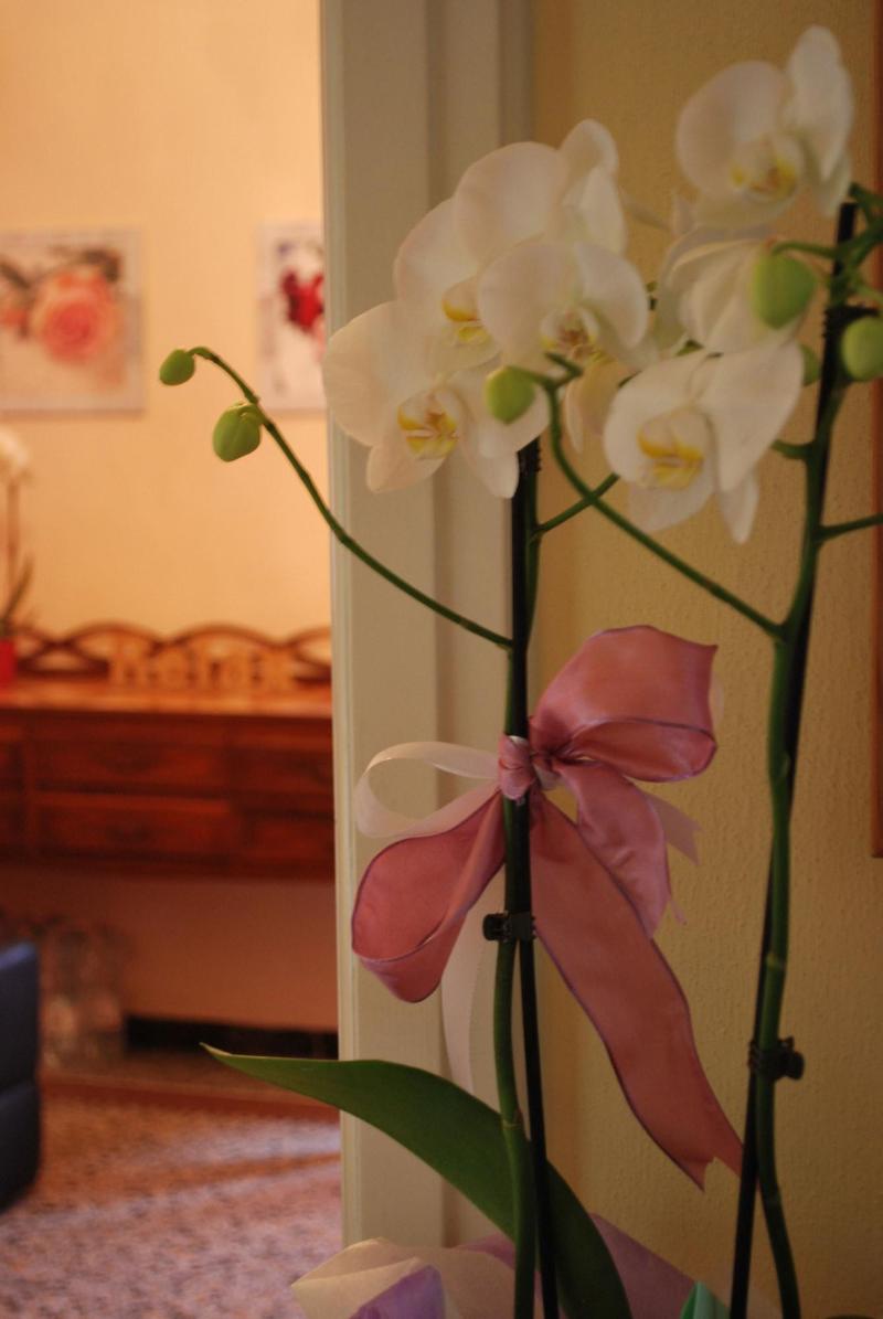 Villa Catelli Bed And Breakfast - Lobi