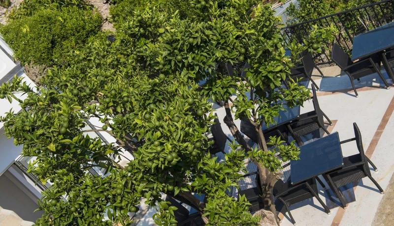 Boutique Hotel Villa Gianlica - Genel