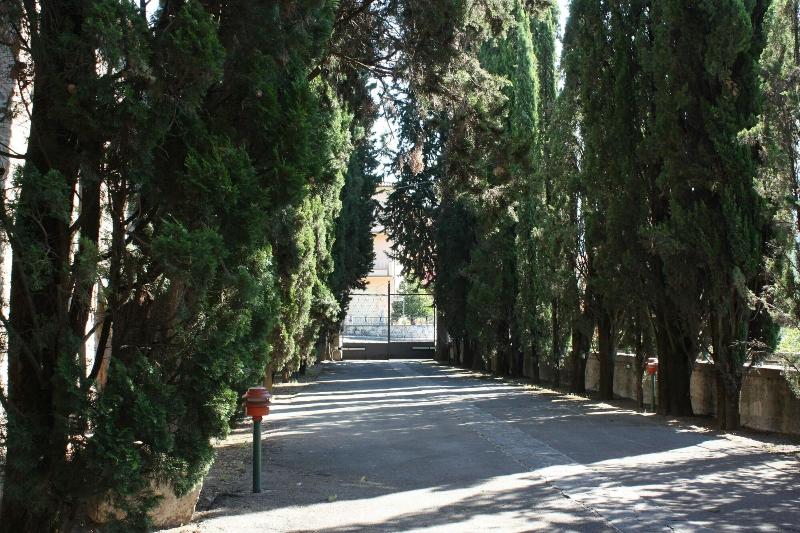 B&B Villa La Nussa - Genel