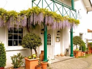 Hotel Sterkel fotoÄŸrafÄ±