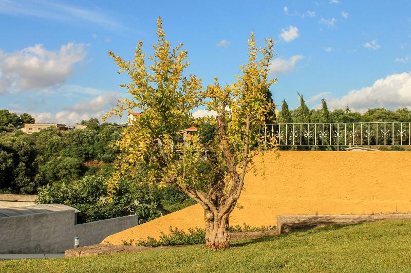 Villa Malvasio refined B&B - Genel