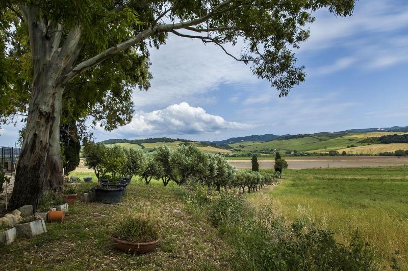 B&B Villa Naumanni - Genel