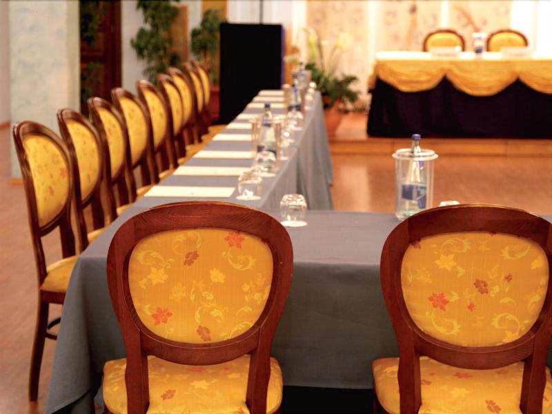 Hotel Villa Picena - Toplantı