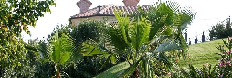 Hotel Villa Picena - Genel