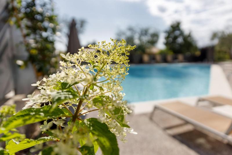 Art Hotel Ventaglio - Aktivite