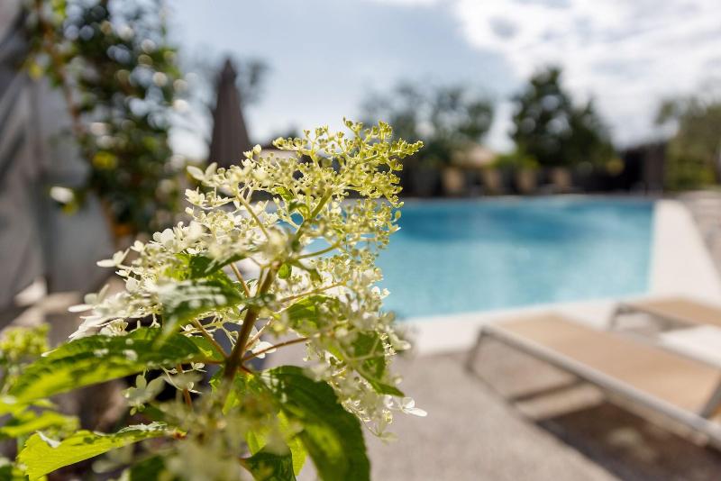 Art Hotel Ventaglio - Havuz