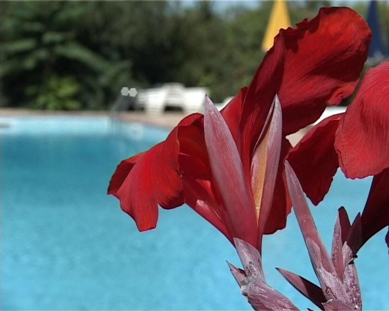 Villa Tasca - Aktivite