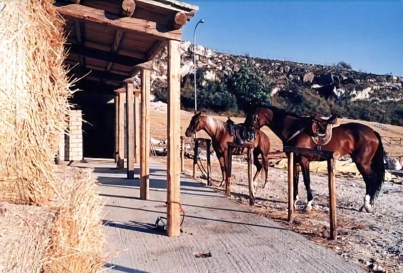 Villa Tasca - Aktivite