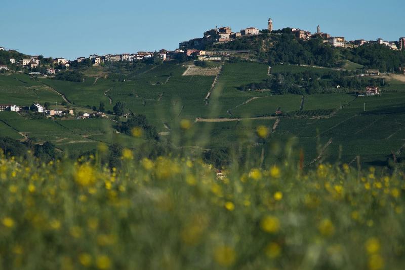 Villa Vitae - Genel