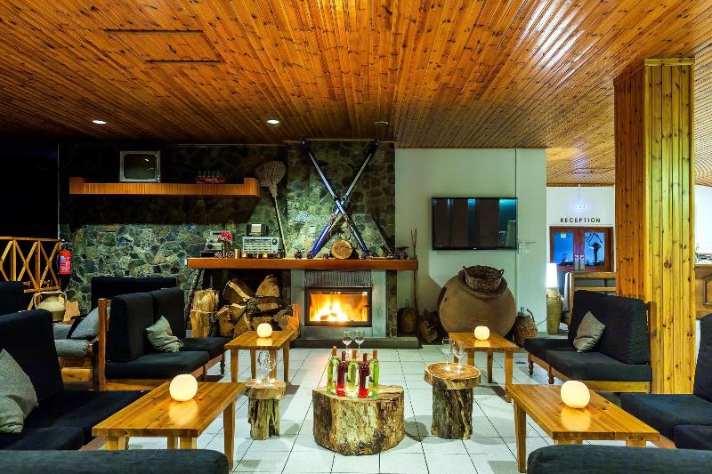 Troodos Hotel - Lobi