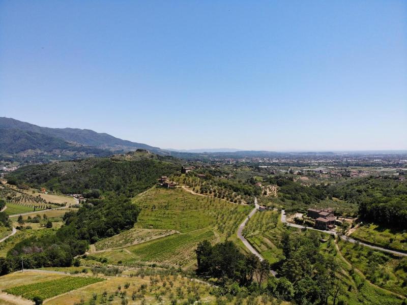 Villa Volpi - Genel