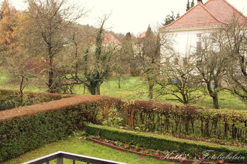 Hotel Vogt - Genel
