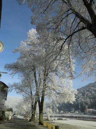 Hotel Weserstuben fotoÄŸrafÄ±