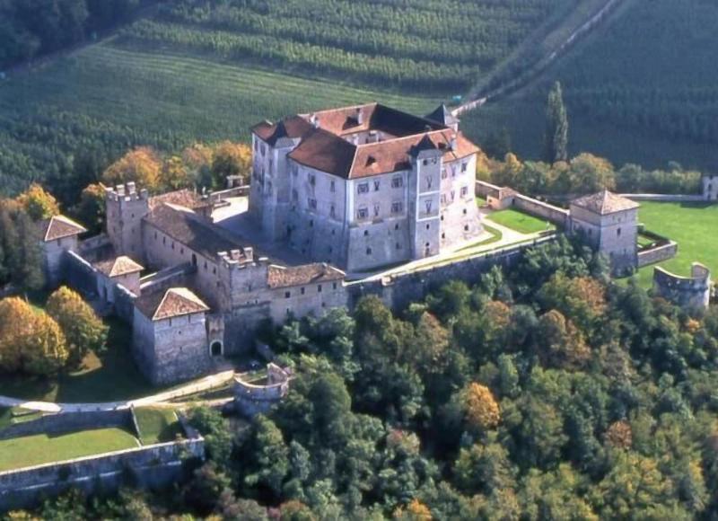 Viridis Hotel - Genel