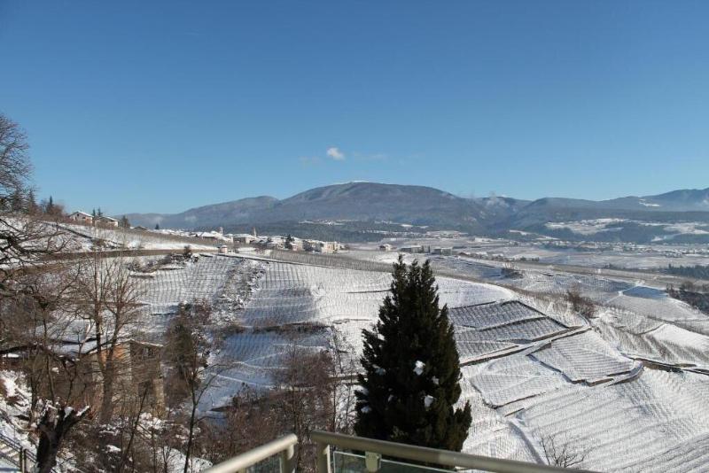 Viridis Hotel - Oda