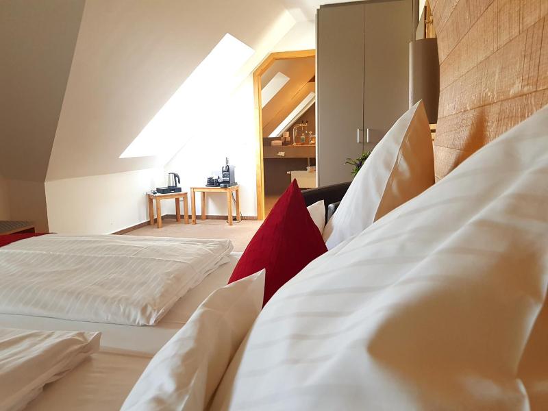 Hotel zur Malzmühle - Genel