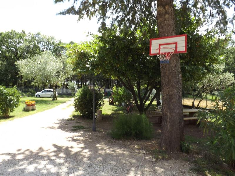 B&B IL Pizzagiallo - Aktivite