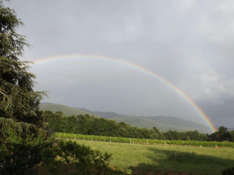 B&B IL Pizzagiallo - Oda