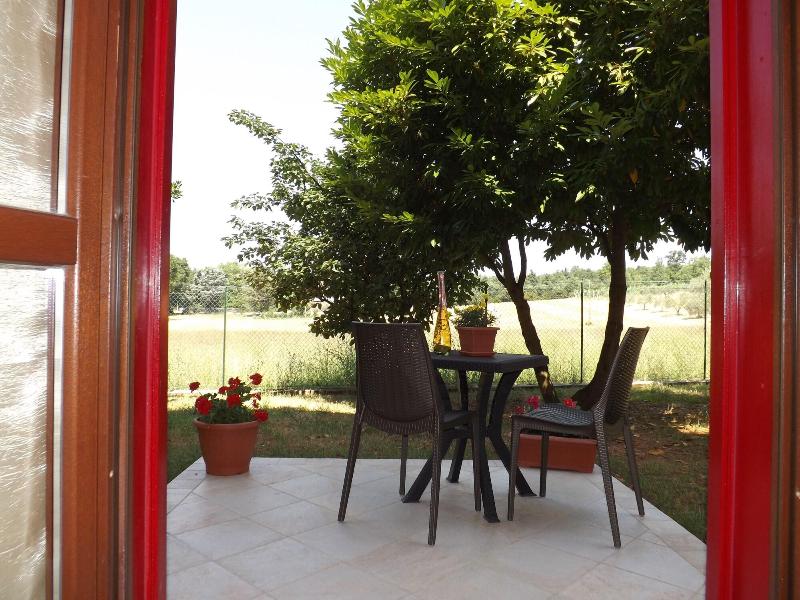 B&B IL Pizzagiallo - Teras