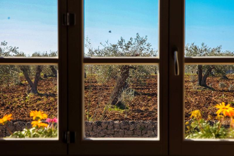 Zahir Country House - Genel