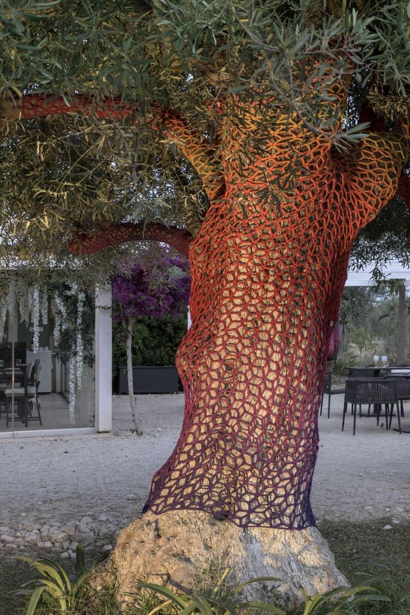 Zahir Country House - Genel