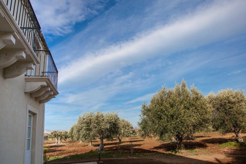 Zahir Country House - Genel