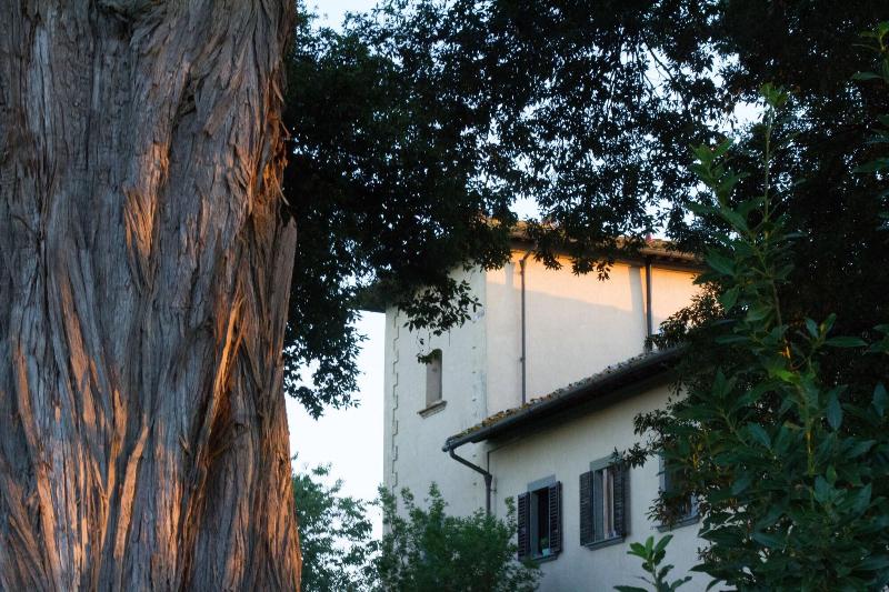 Villa Fillinelle - Genel