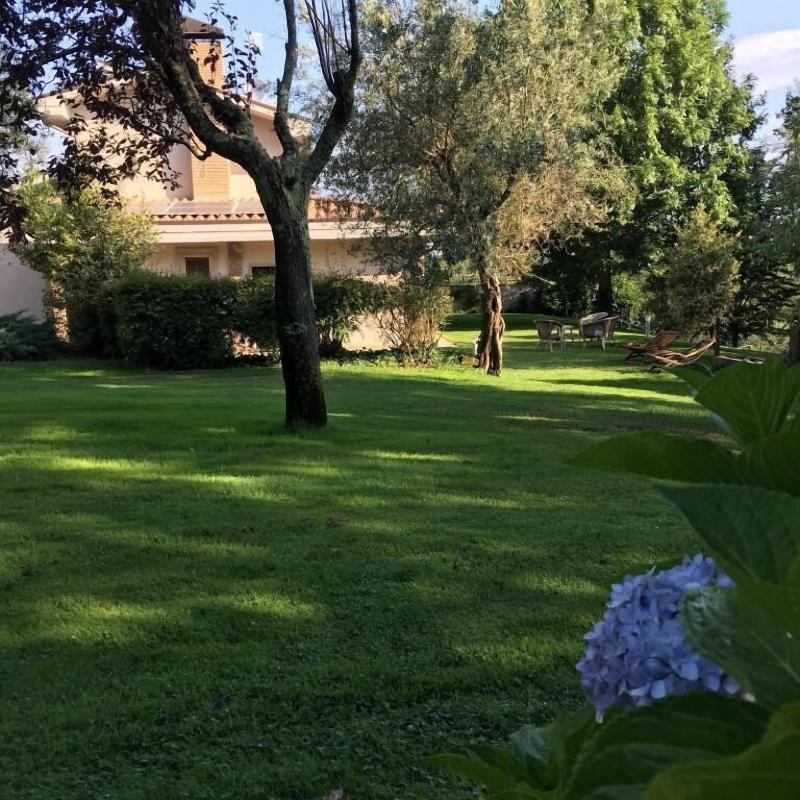 Bio & B Italyke - Genel