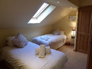 Broccoli Bottom fotoÄŸrafÄ±