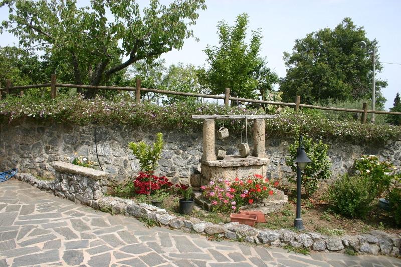 Korello - Genel