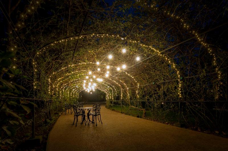 Boeira Garden Hotel Porto Gaia, Curio Collection - Genel