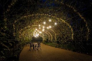 Boeira Garden Hotel Porto Gaia, Curio Collection fotoÄŸrafÄ±