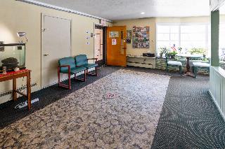 Buena Vista Inn/ Motel fotoÄŸrafÄ±
