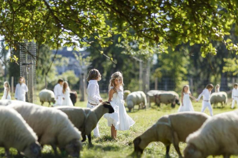 Buitenplaats Vaeshartelt - Genel