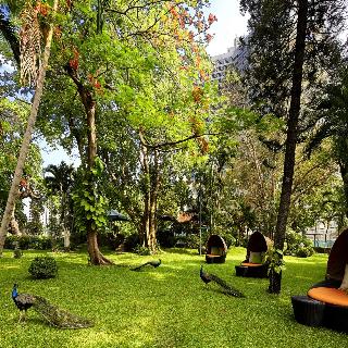 Royal Orchid Sheraton - Towers Bangkok fotoÄŸrafÄ±