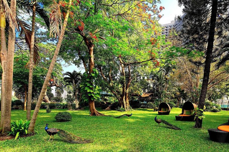 Royal Orchid Sheraton - Towers Bangkok - Genel