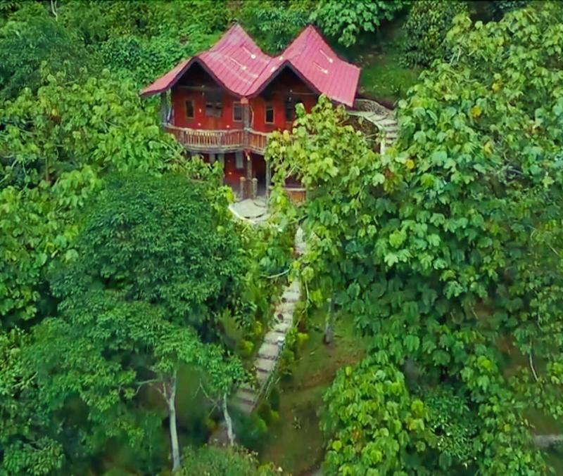 Hotel Orangutan - Genel