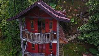 Hotel Orangutan fotoÄŸrafÄ±