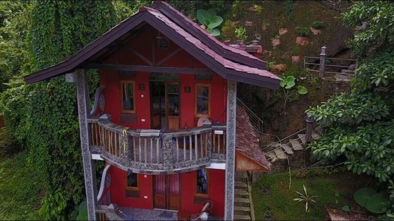Hotel Orangutan - Genel