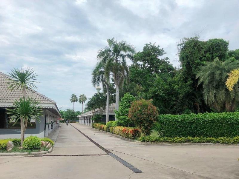 Bypass And Resort - Genel