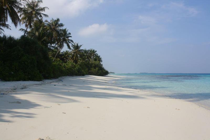 Boutique Beach - All Inclusive - Genel