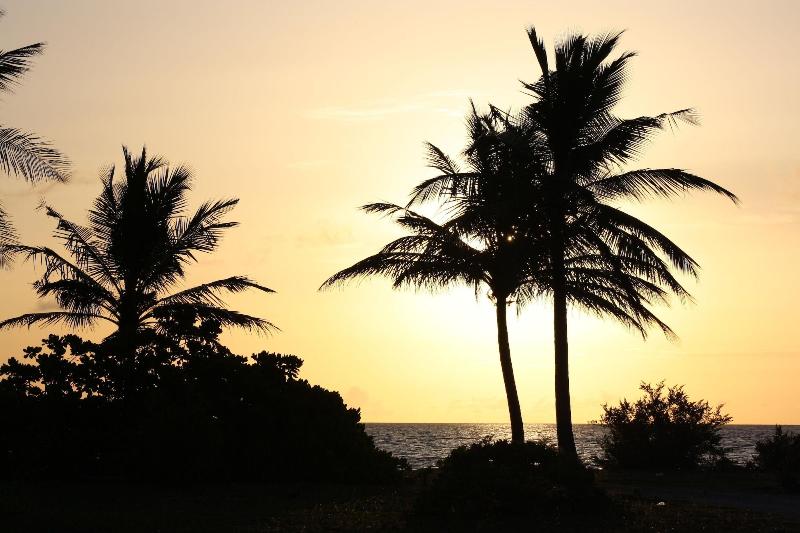 Boutique Beach - All Inclusive - Plaj
