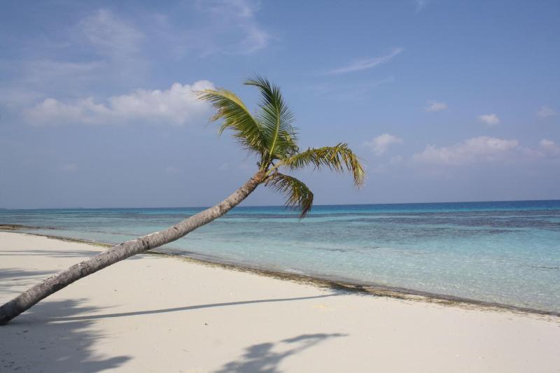 Boutique Beach - All Inclusive - Plaj