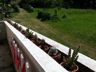 13 Bees